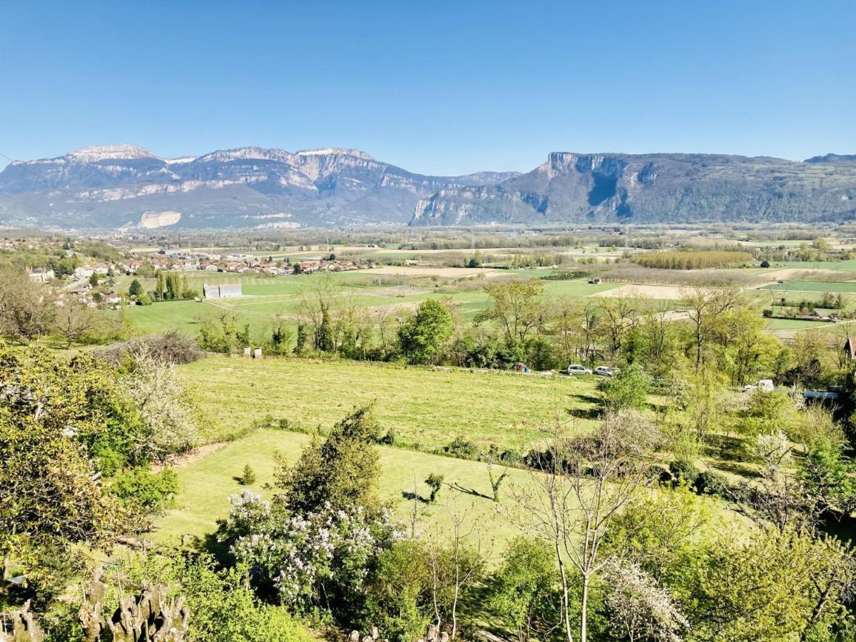 Jolie Cabane Avec Jacuzzi Pour Les Amoureux De La Nature Tullins Buitenkant foto